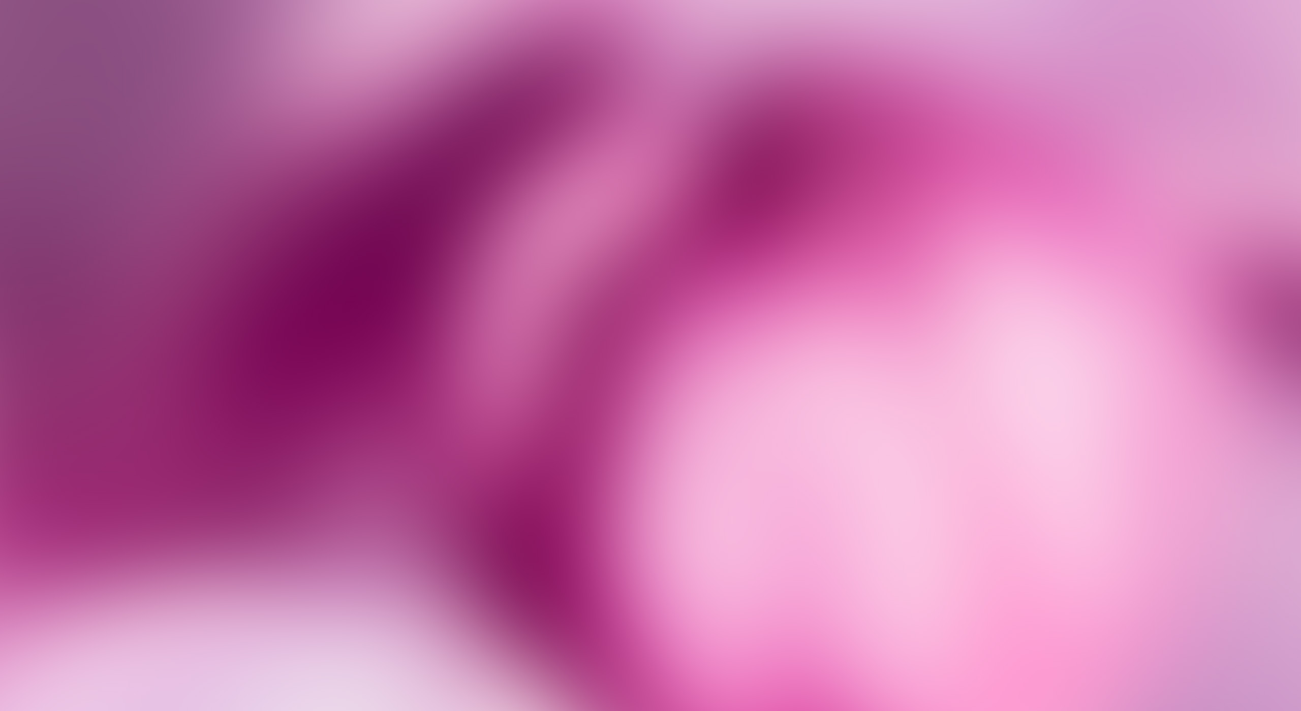 Fachwerkhaus mit Café-Terrasse, Stühle und Tische im Freien, bei blauem Himmel und roten Sonnenschirmen.