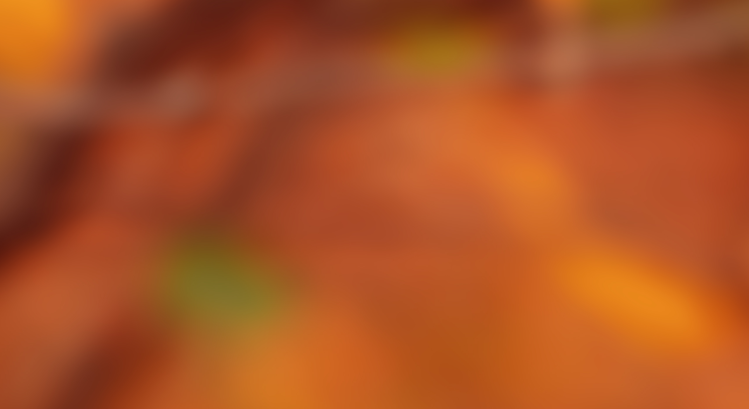 Ein Baumhaus des Baumhaushotels Tree Inn