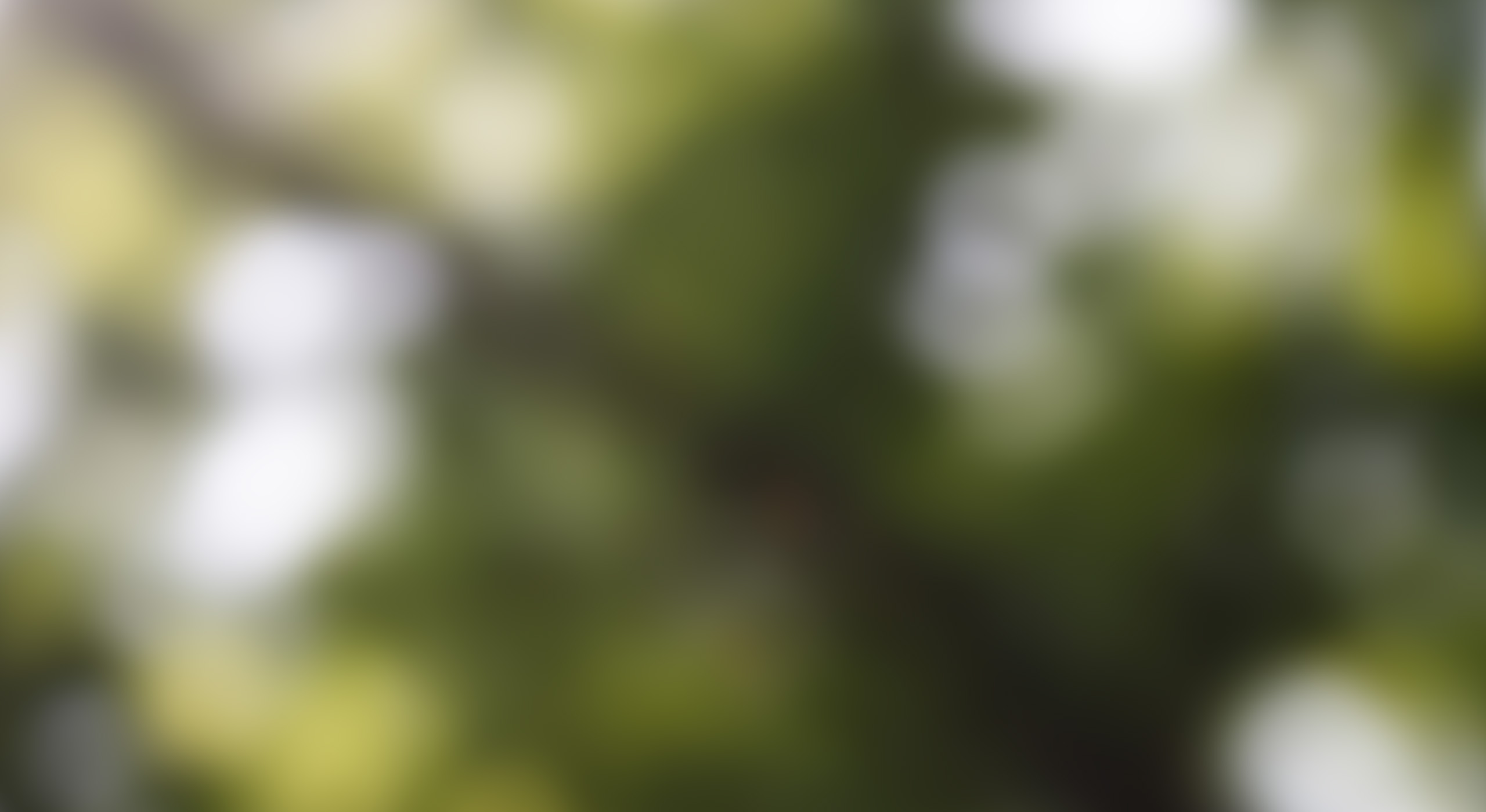 Großsteingräber in HesekeEen fietser bij een van de megalithische graven in het Osnabrücker Land op de fietsroute van de megalietcultuur