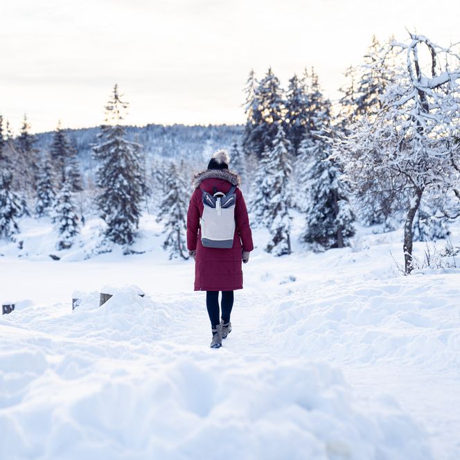 Winter am Oderteich im Harz