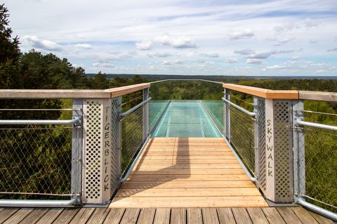 there is a skywalk made of glass on the heide himmel treetop walk