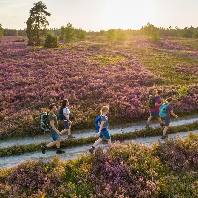 Wanderer in der Lüneburger Heide
