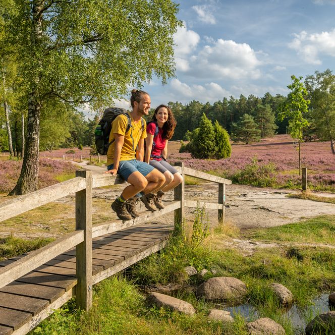 Wanderweg mit Brunsberg und Büsenbachtal
