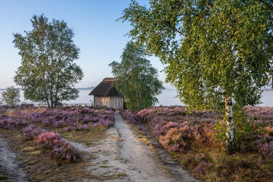 Heideschleife Tütsberg wandern Rundwanderweg Alfred Toepfer Blick