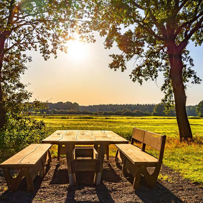 Der Tischlein-Deck-Dich Rastplatz am NORDPFAD Ostetal
