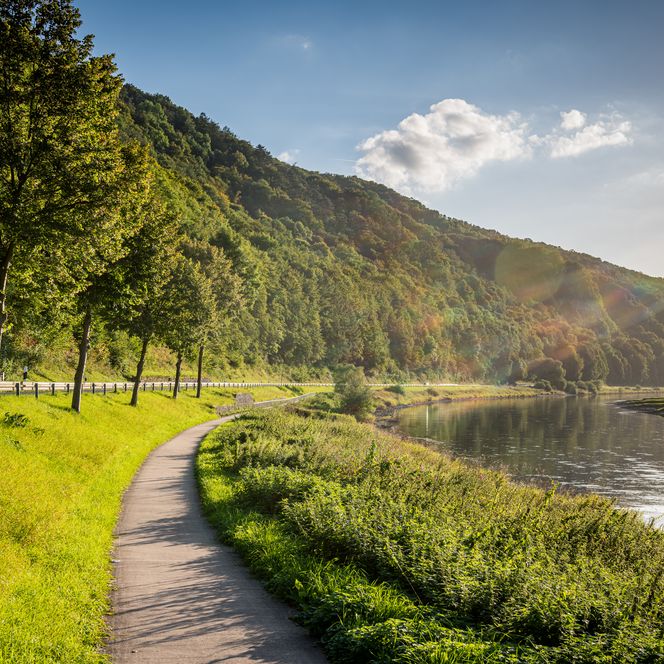 Weserradweg im Weserbergland
