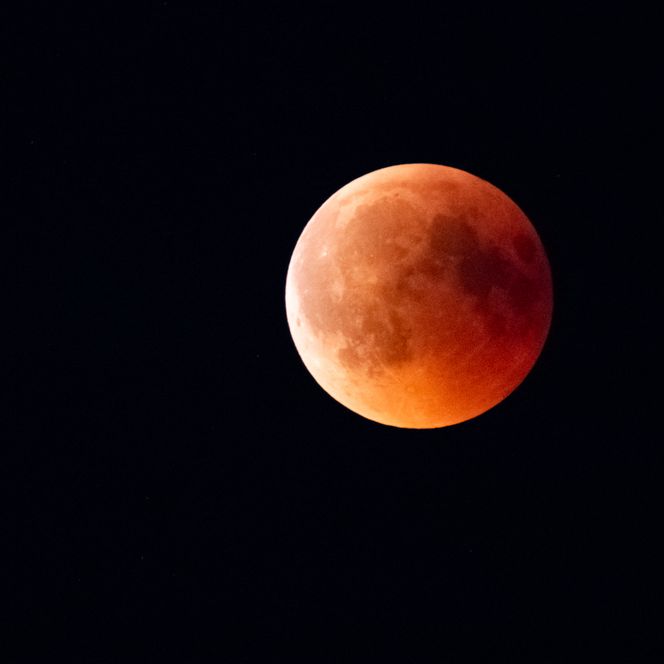 Das Bild zeigt einen leuchtend roten Blutmond, klar am dunklen Nachthimmel schwebend.
