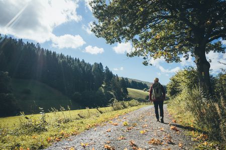 Wanderer im Hellental des Naturparks Solling-Vogler im Weserbergland