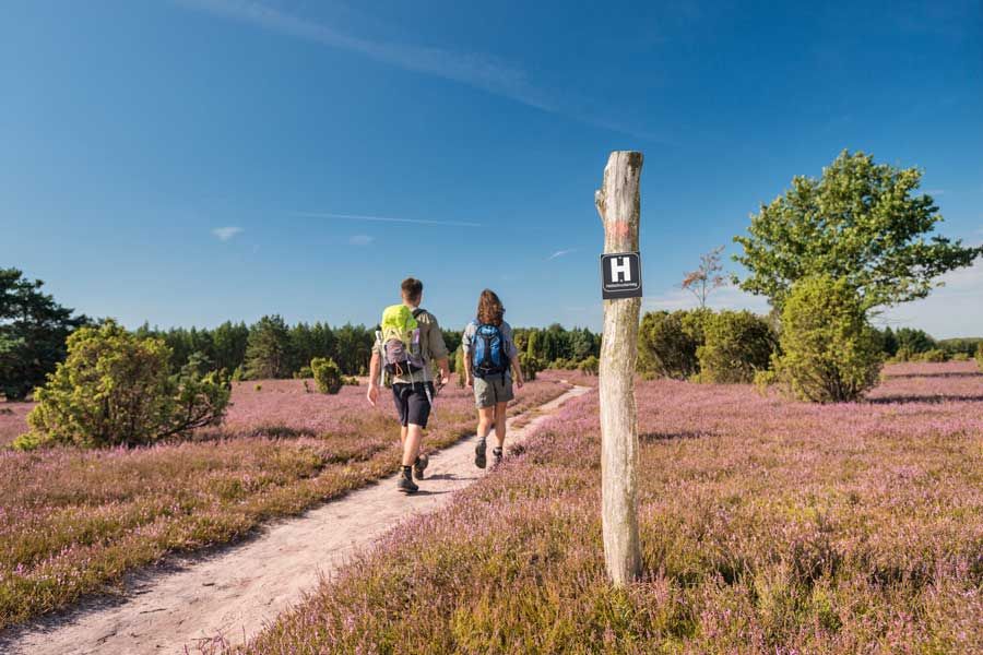 Wanderung auf dem Heidschnuckenweg durch Niedersachsen