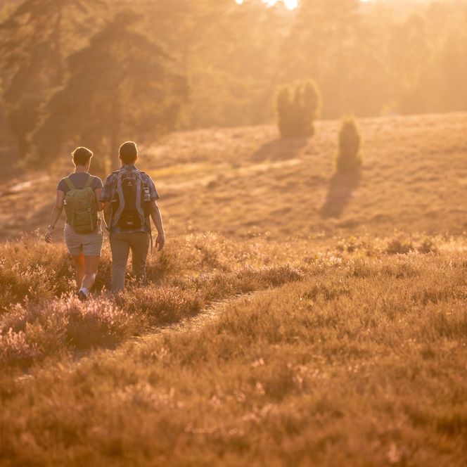 Wanderer in Hermannsburg in der Misselhorner Heide