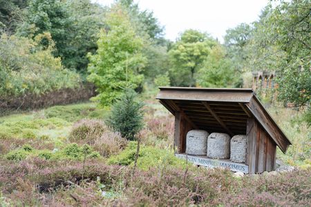 Gelände zur Bienenhaltung