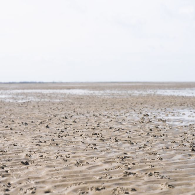 mud-flat while low tide