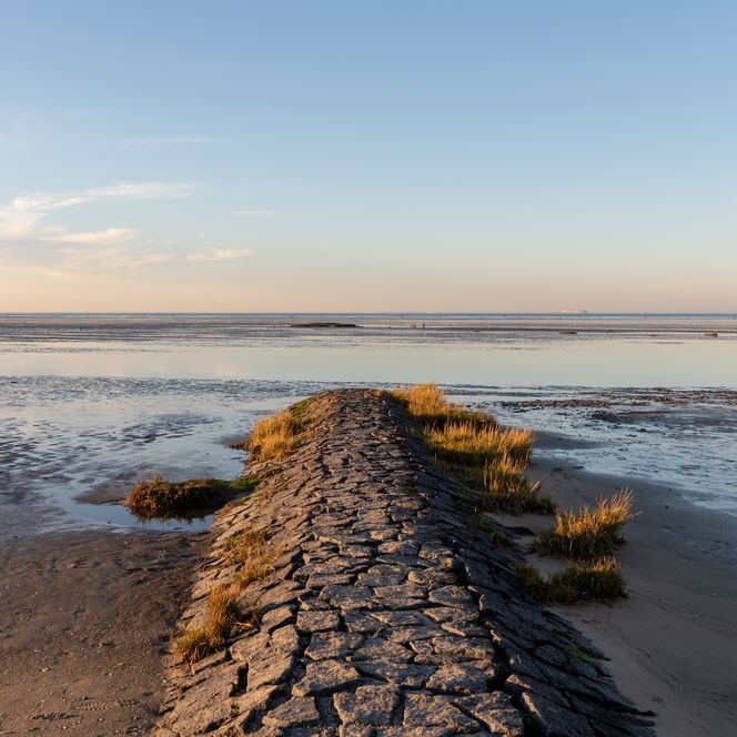 Wattenmeer bei Ebbe