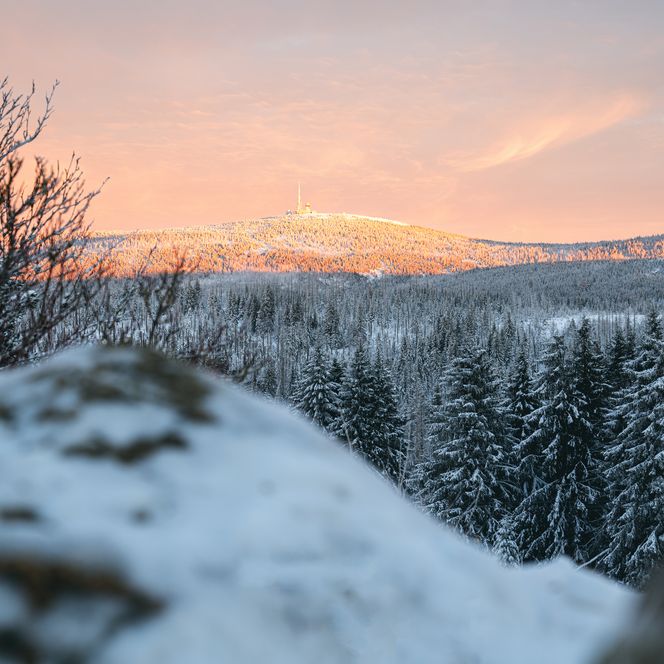 Winter im Torfhaus im Harz