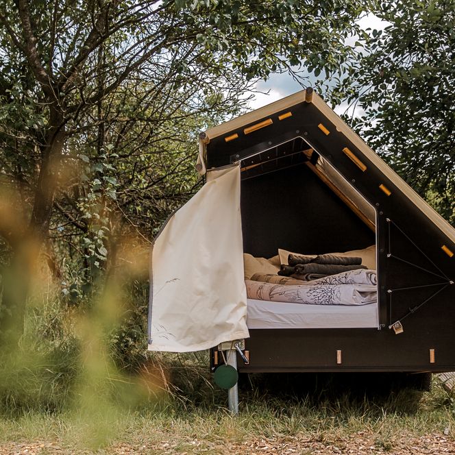 Das Bild zeigt ein kleines, offenes Zelt mit einem gemütlichen Bett, umgeben von Bäumen in der Natur.