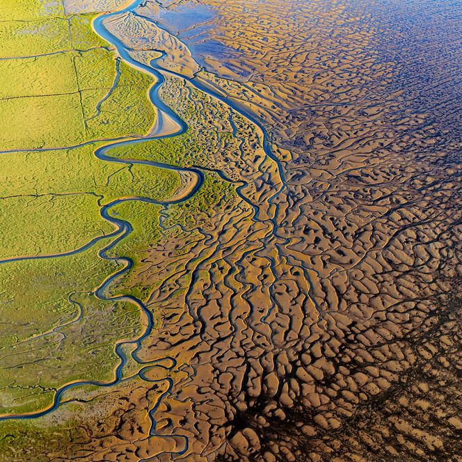 A unique natural wonder on the North Sea coast