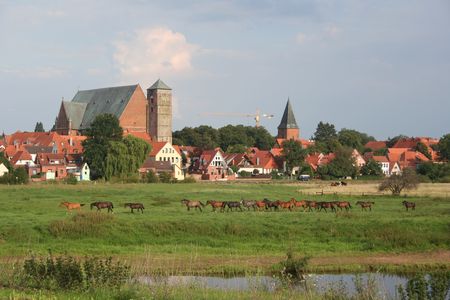 Panoramablick auf eine Gruppe von Pferden, die vor dem historischen Stadtbild von Verden grasen.
