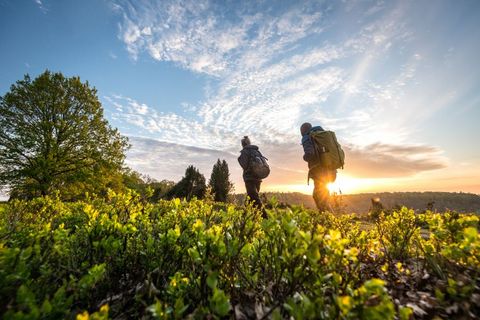 Wanderung am Totengrund in der Lüneburger Heide