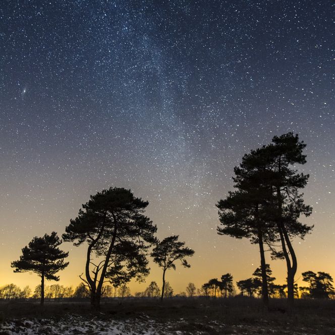 Sternenhimmel über Venner Moor im Natur- und Geopark TERRA.vita