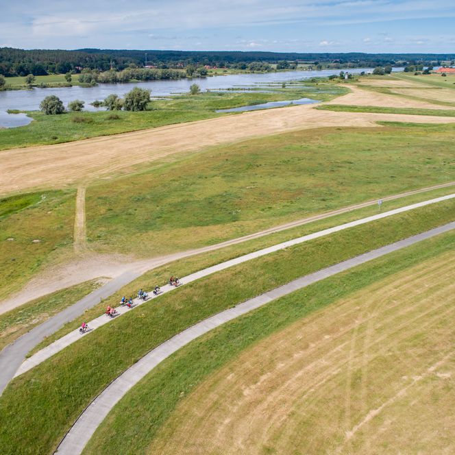 Elberadweg bei Darchau