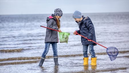 Kinder im Watt