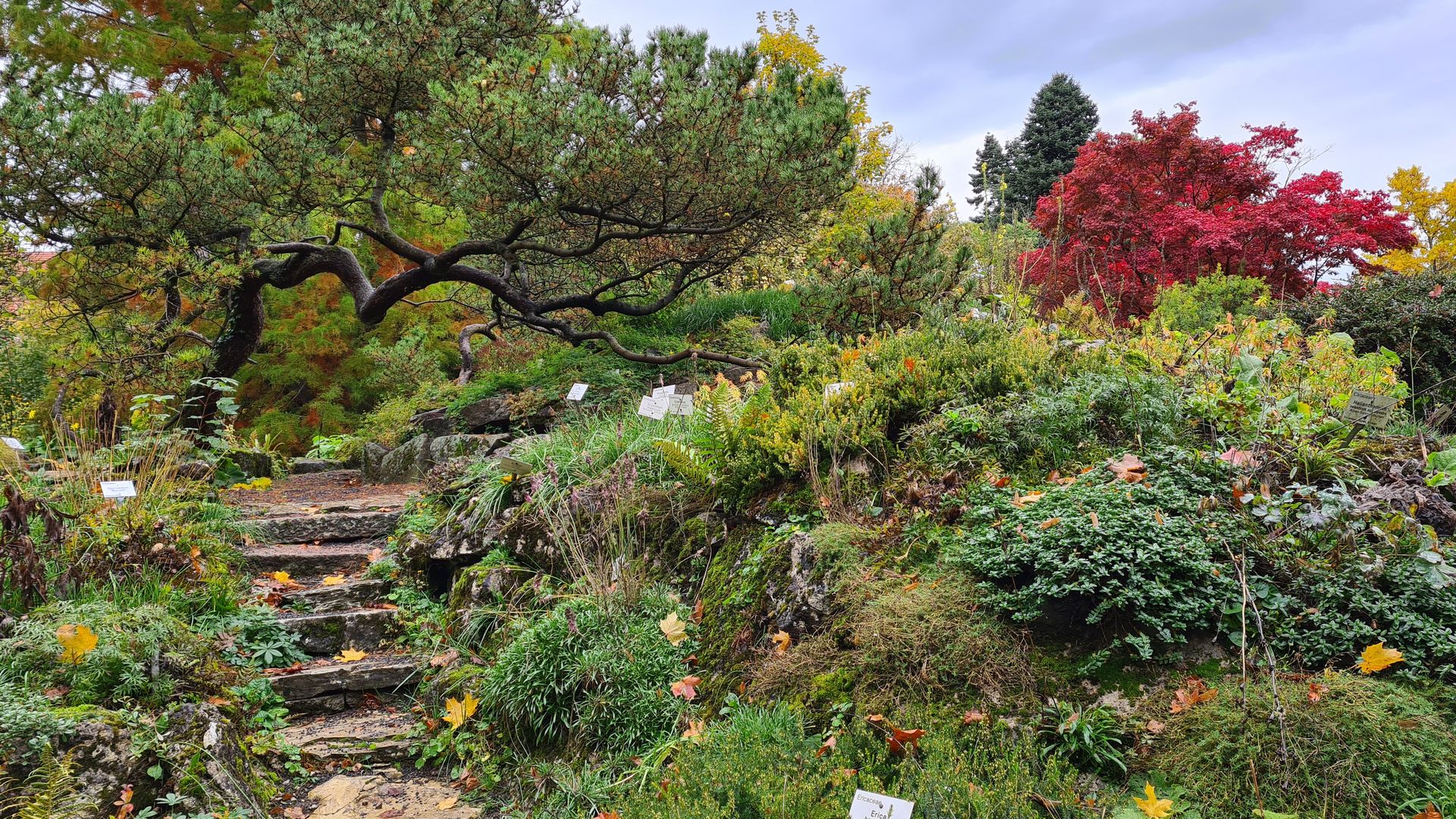 Alter Botanischer Garten