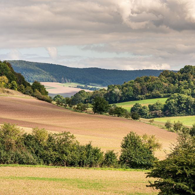 Wanderer bei Bodenwerder