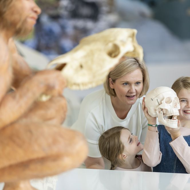 Familie schaut sich Exponate an