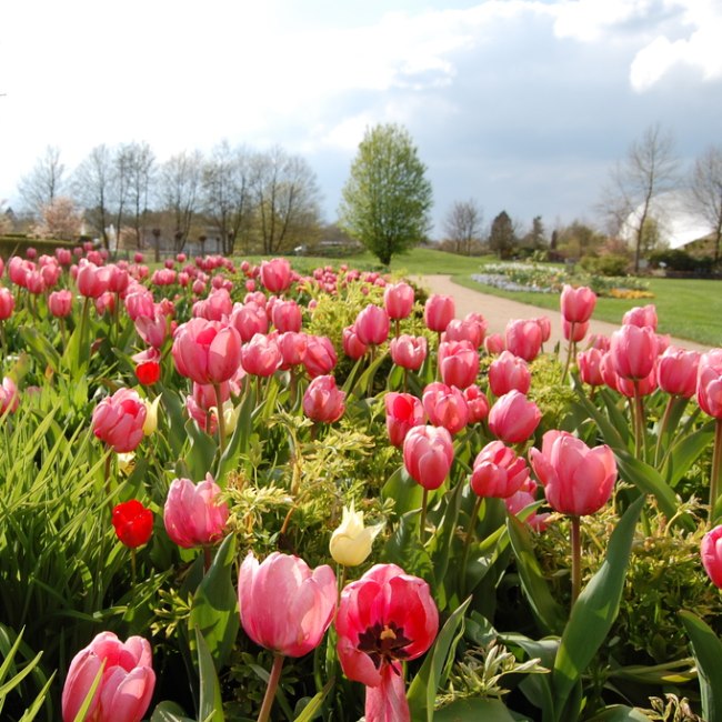 Park der Gärten Bad Zwischenahn, © Ostfriesland Tourismus GmbH