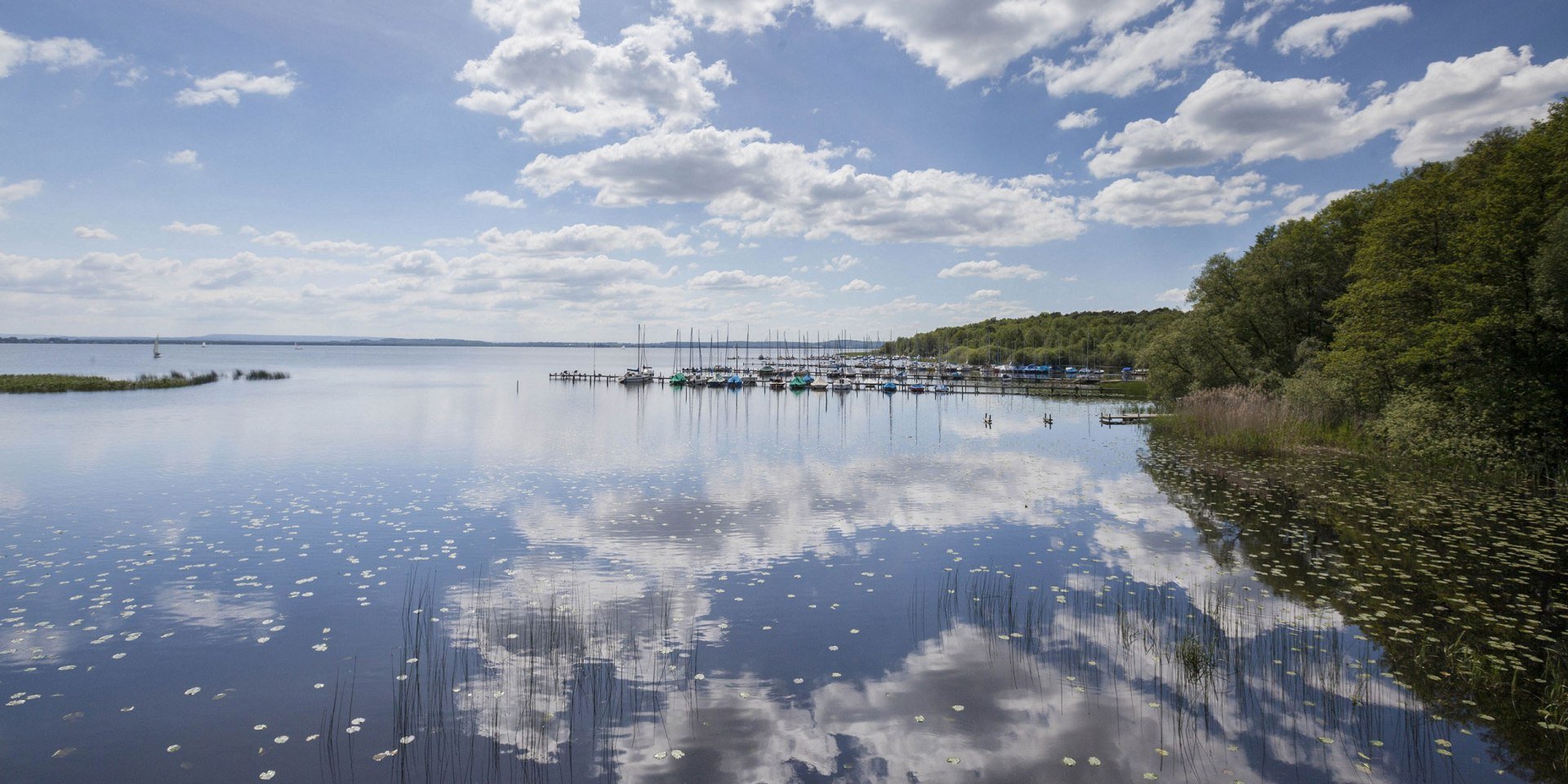 View of the Steinhuder Meer, on the right sailboats at the berth
, © Naturpark Steinhuder Meer, Region Hannover/ Claus Kirsch