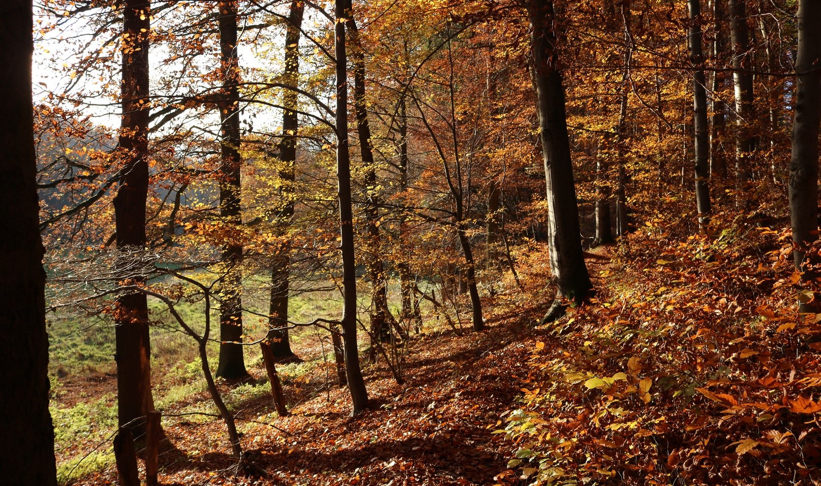 Herbst im Waltersbachtal, © GeTour GmbH