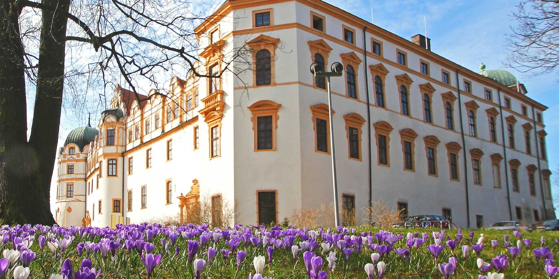 Celle Castle, © Celle Tourismus und Marketing GmbH/ K. Behre