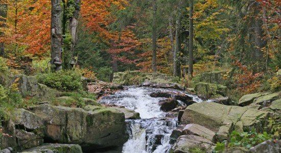 The Bode river near Braunlage, © Nationalpark Harz / Siegfried Richter