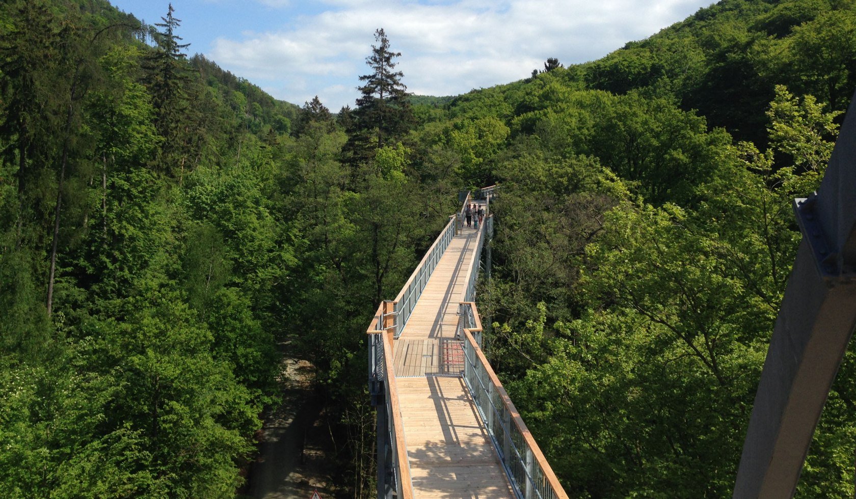 Treetop trail Harz, © Baumwipfelpfad Harz