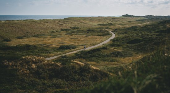 Bicycle path on Langeoog, © TMN/ Max Fischer
