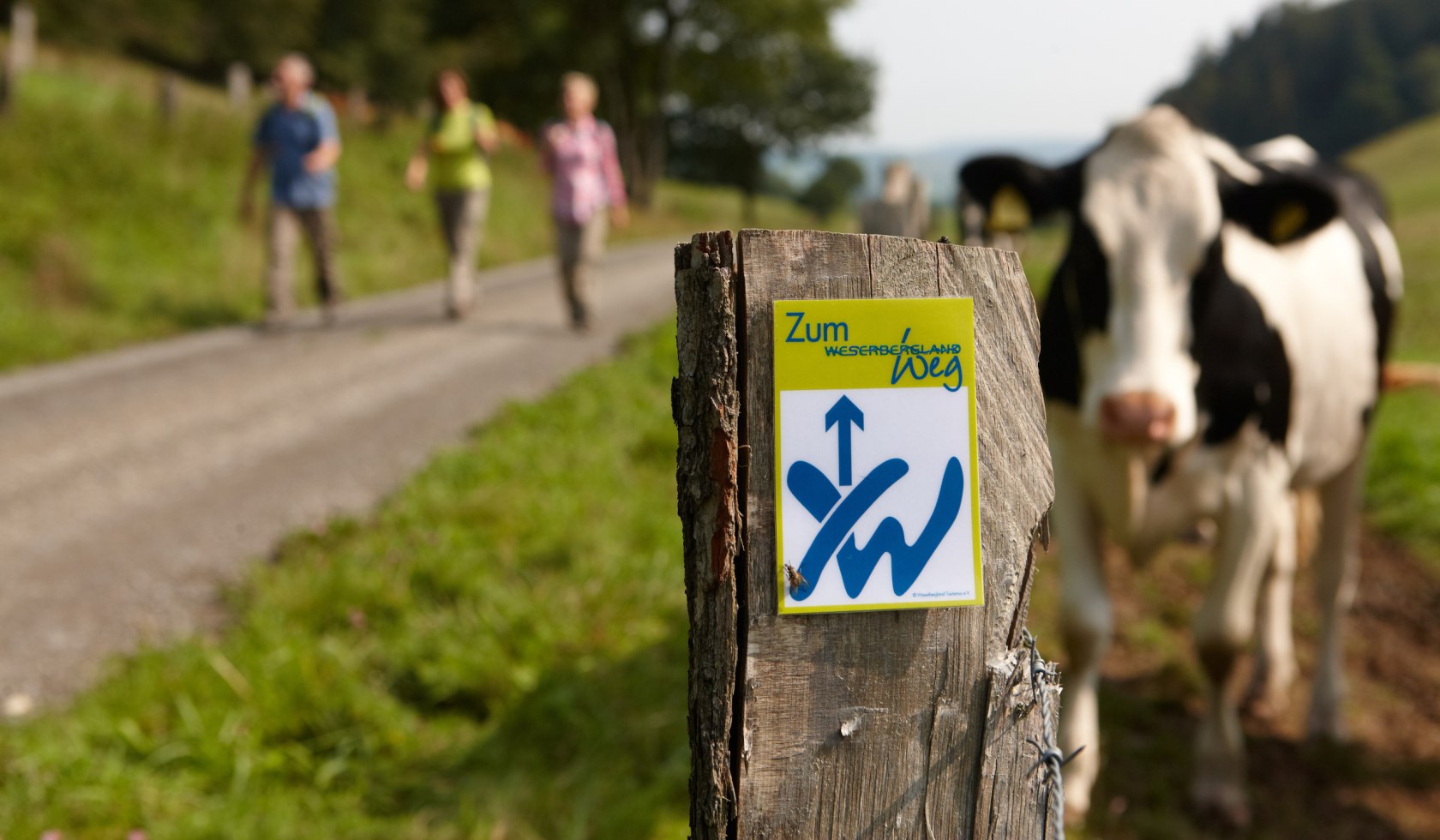 Hiking, © Weserbergland Tourismus e.V. / Markus Gloger