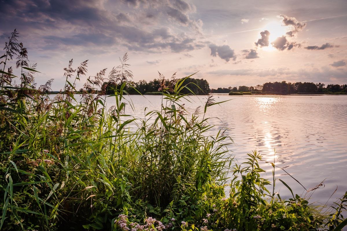 Meißendorfer Pond, © Lüneburger Heide GmbH / Markus Tiemann