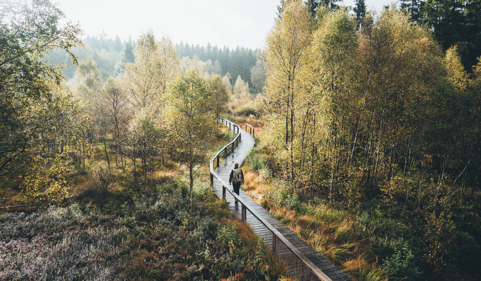 Hiker in the Solling Vogler Nature Park, © TourismusMarketing Niedersachsen GmbH / German Roamers / Johannes Becker