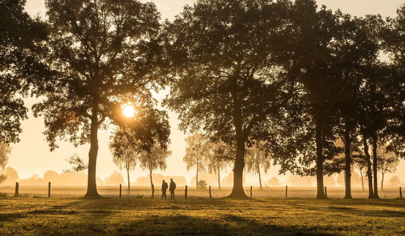 Hiker in the sunset in an avenue at Haußelberg, © Lüneburger Heider GmbH/ Dominik Ketz