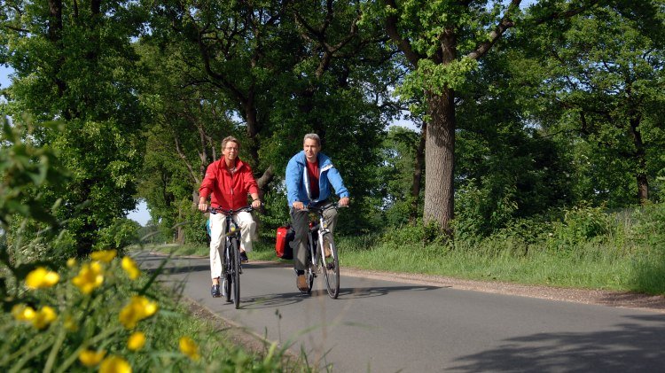 Cyling on the avenue, © Ammerland-Touristik / Tobias Trapp