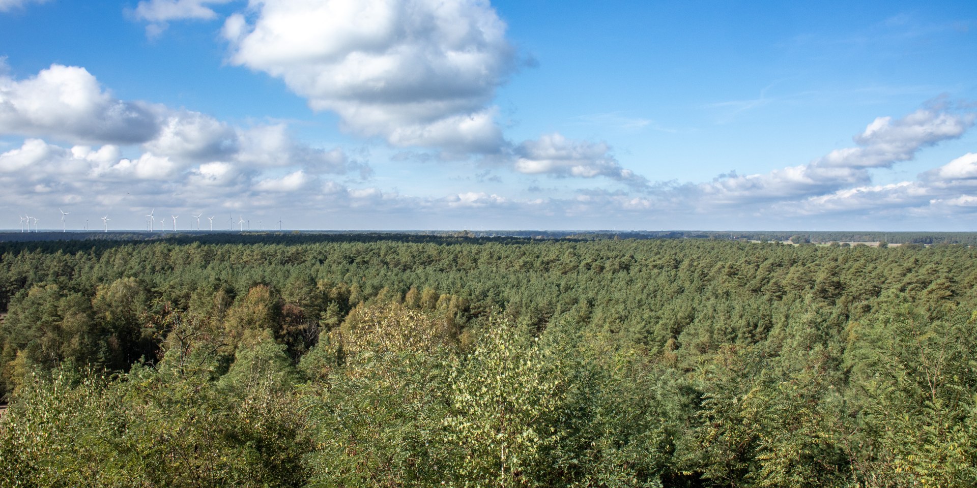 Wietze-Wietzer-Oelberg-Aussicht-Fruehherbst-ccbysa-Ploeger-241006-6908, © Lüneburger Heide GmbH/Tanja Ploeger