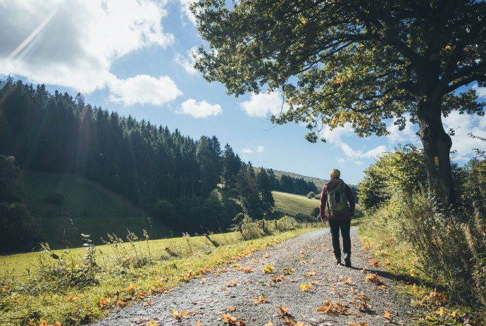 Hiking in Hellental in the Nature Park Solling-Vogler, © TourismusMarketing Niedersachsen GmbH/ Hannes Becker