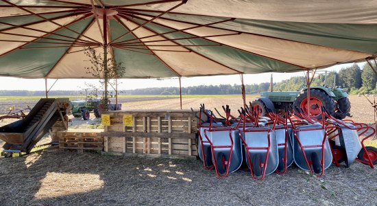 mueden-kartoffelfest-tewes-kartoffelhof-ccbysa-bb-20210828-13, © Lüneburger Heide GmbH