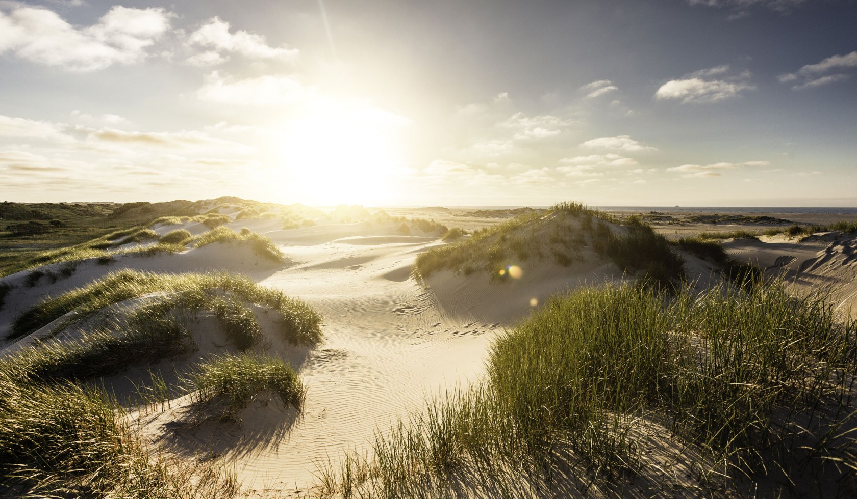 Dune landscape, © Staatsbad Norderney GmbH/ Janis Meyer