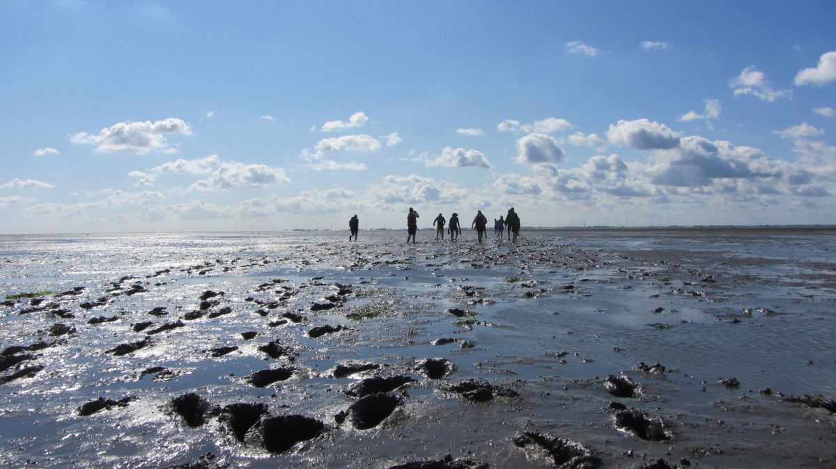 Wadden Sea, © Naturerlebnis Langeoog / Joke Pouliart