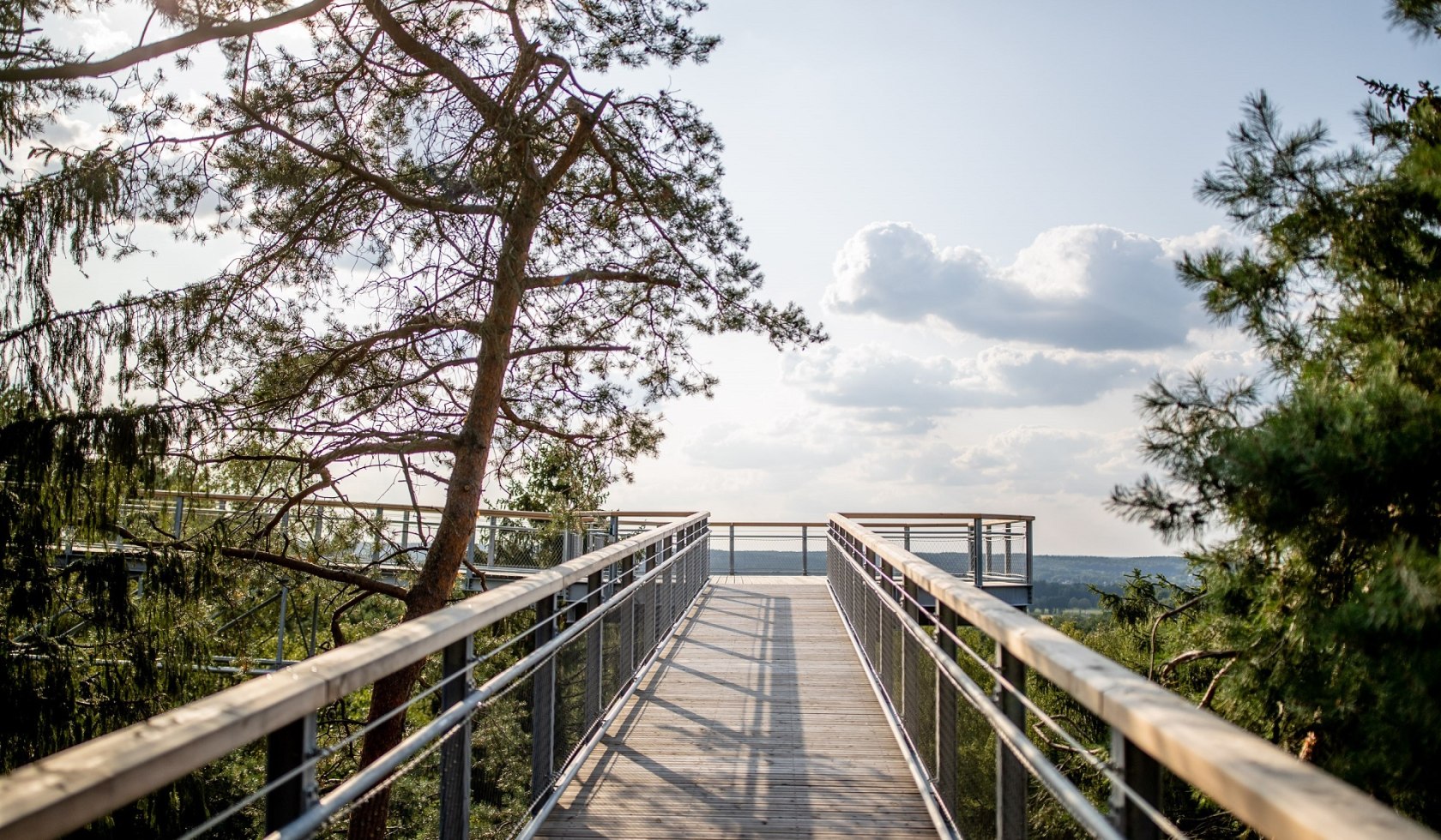 Treetop path surrounded by trees, © Weitblick Tietz GmbH & Co. KG / Adrian Föhl