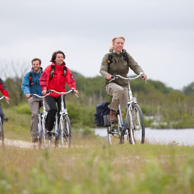 Cyclists, © Emsland Touristik / Marcus Gloger