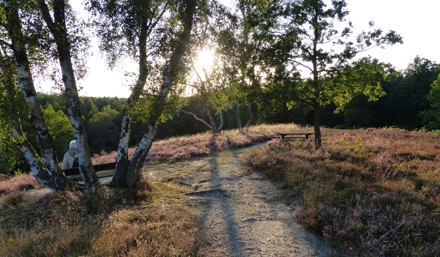 pilgrimage at the Jacobusweg, © Naturpark Lüneburger Heide