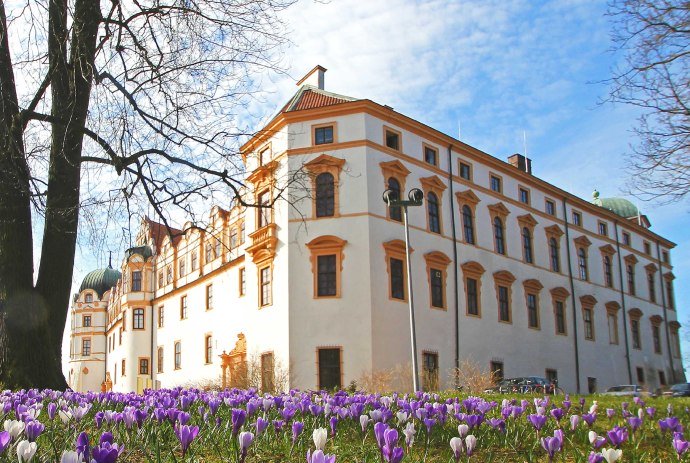 Celle Castle, © Celle Tourismus und Marketing GmbH/ K. Behre