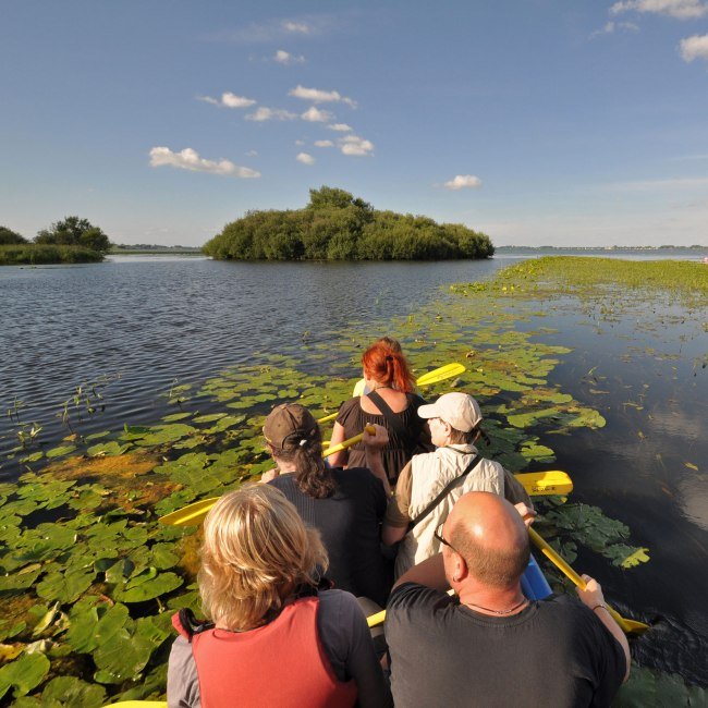 Canoeing on the Dümmer, © DümmerWeserLand-Touristik/ Oliver Lange